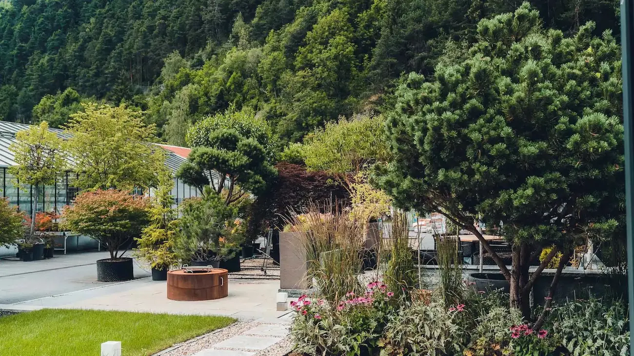 grasberger fließerau Ein wunderschön gestalteter Gartenbereich von Grasberger Gärtner mit verschiedenen Bäumen, Sträuchern, Blumen und Topfpflanzen inmitten der grünen Hügel bei Landeck Tirol. Ein Weg und Sitzgelegenheiten im Freien laden dazu ein, den hochwertigen Gartenbau zu genießen.