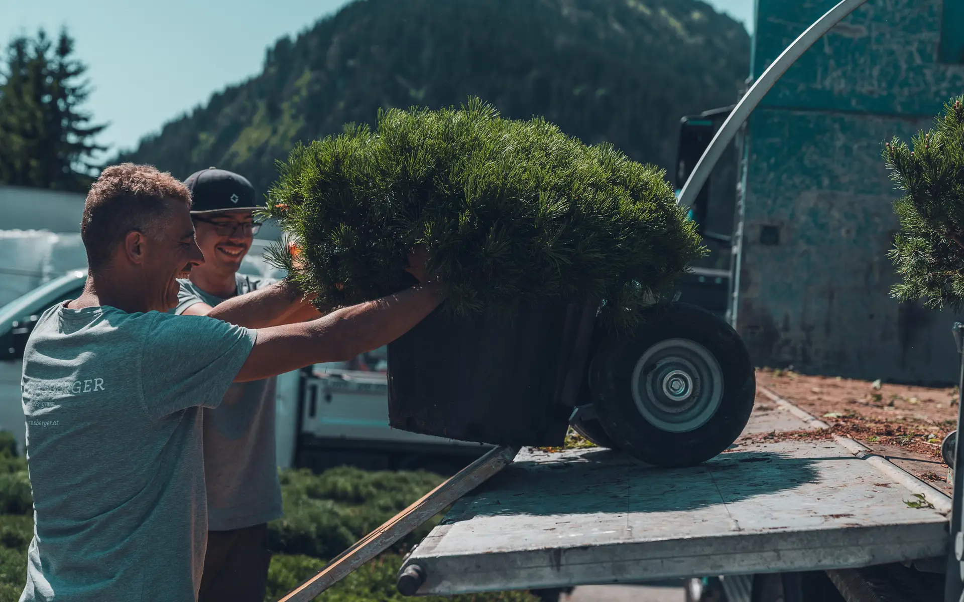 grasberger fließerau Zwei Menschen lächeln, als sie an einem sonnigen Tag im Freien eine große Topfpflanze auf einen Metallwagen laden, mit Bergen und Bäumen im Hintergrund - eine inspirierende Szene für alle, die sich für Lehre und Jobs im Gartenbau interessieren.