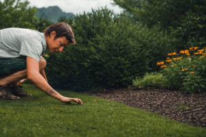 grasberger fließerau Eine Person kniet auf dem Rasen und rollt den Rollrasen in einem Garten aus, umgeben von grünen Sträuchern und gelben Blumen, und arbeitet vorsichtig neben einem gemulchten Blumenbeet.